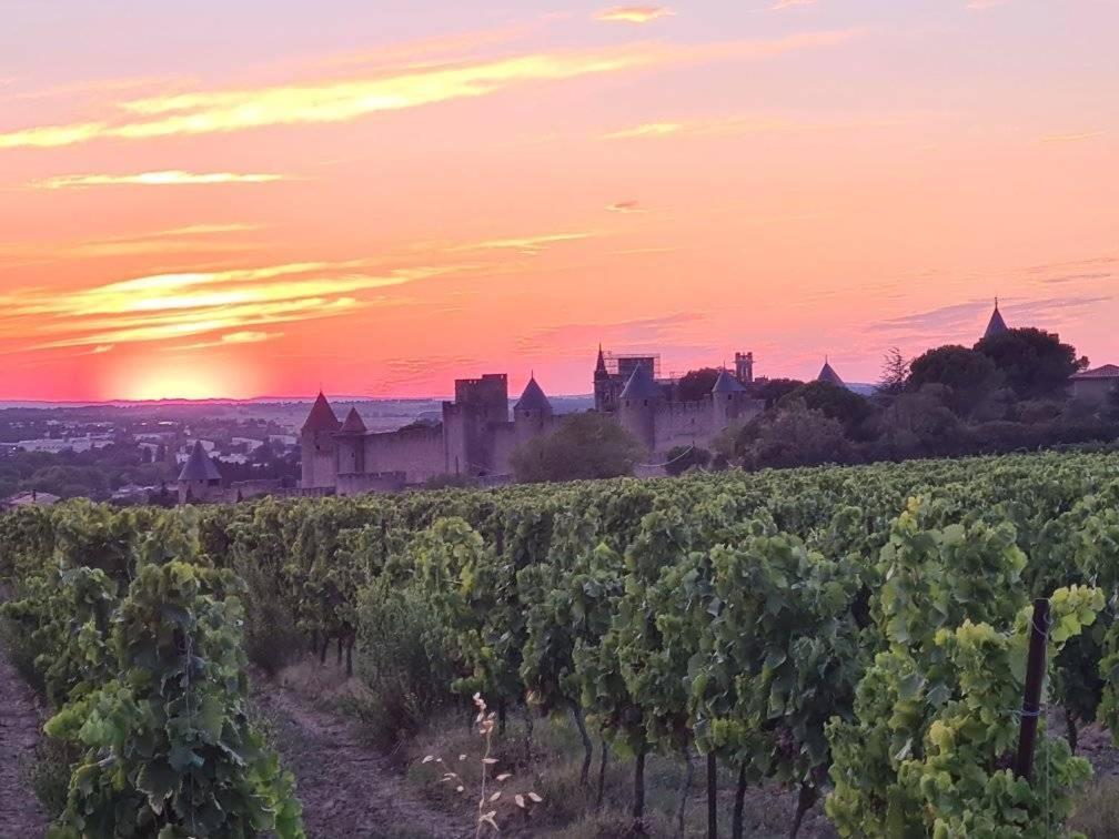 Вилла Meuble De Tourisme 4 Etoiles Logis Riquet Proche De Carcassonne Caux-et-Sauzens Экстерьер фото
